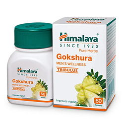Himalaya Gokshura